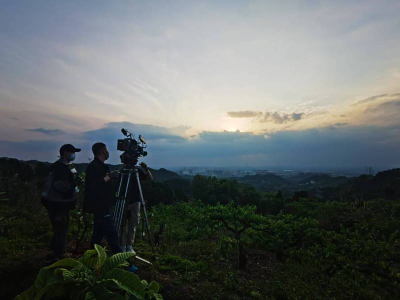 聚焦渭源县产品宣传视频拍摄公司，用专业实力铸就品牌传播传奇