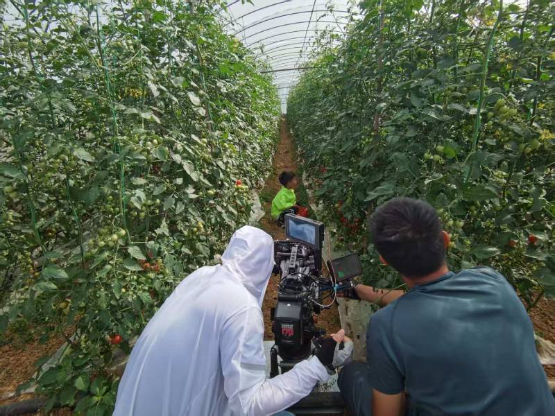 渭源县产品宣传视频拍摄公司进阶指南，助力品牌抢占传播高地